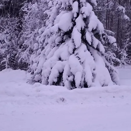 Magic Lapland Rovaniemi