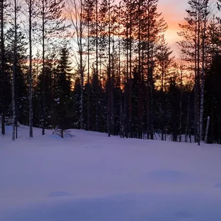 Magic Lapland * Rovaniemi