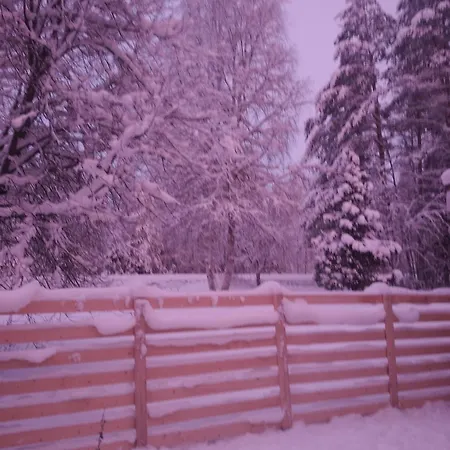 Magic Lapland